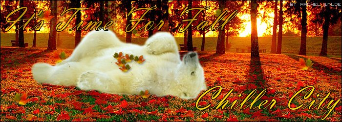 Bear Artwork